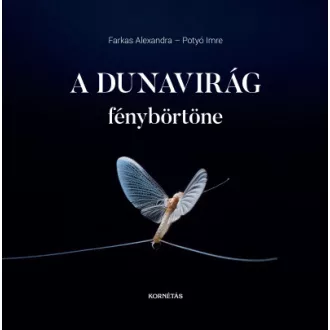 A Dunavirág fénybörtöne