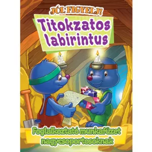 Titokzatos labirintus - Foglalkoztató munkafüzet nagycsoportosoknak