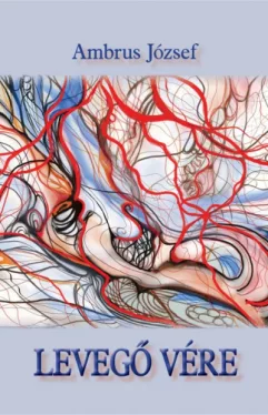 Levegő vére