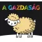 A gazdaság