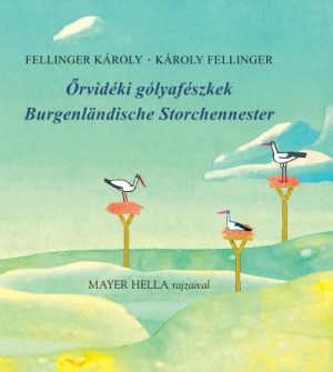 Őrvidéki gólyafészkek - Burgenländische Storchennester