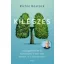 Kilégzés