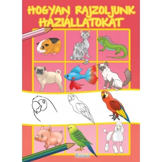 Hogyan rajzoljunk háziállatokat