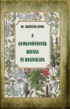 A gyógynövények hatása és használata