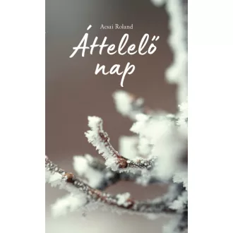 Áttelelő nap