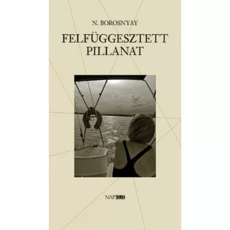 Felfüggesztett pillanat - Versek 2020-22