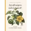 Atyafiságos üdvözlettel!