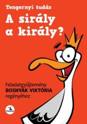   A sirály a király? - Feladatgyűjtemény Bosnyák Viktória regényéhez