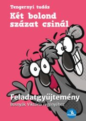 Bosnyák Viktória - Hevérné Kanyó Andrea - Két bolond százat csinál - Feladatgyűjtemény Bosnyák Viktória regényéhez