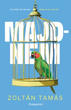 Zoltán Tamás - Majdnem