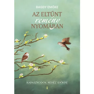 Az eltűnt remény nyomában