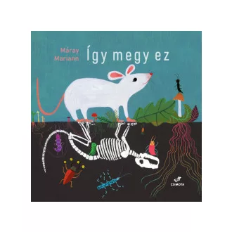 Így megy ez