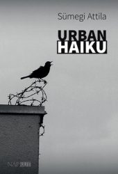 Urban haiku