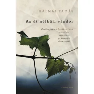 Halmai Tamás - Az út nélküli vándor