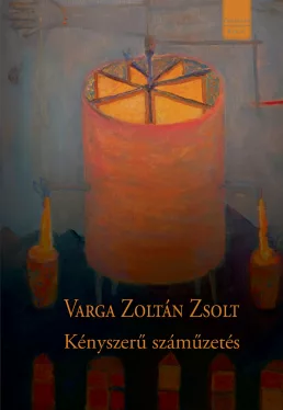 Varga Zoltán Zsolt - Kényszerű száműzetés