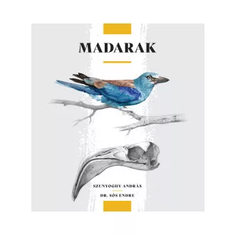 Madarak