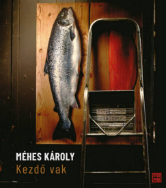 Méhes Károly - Kezdő vak