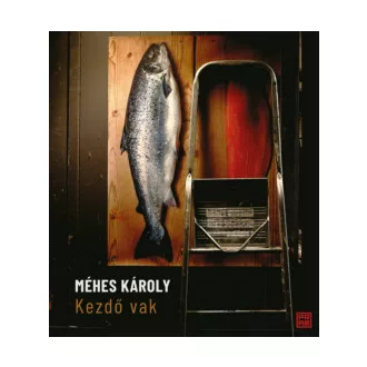 Méhes Károly - Kezdő vak