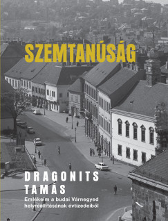 Dragonits Tamás - Szemtanúság - Emlékeim a budai Várnegyed helyreállításának évtizedeiből