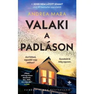 Valaki a padláson
