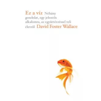 David Foster Wallace - Ez a víz