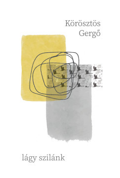 Körösztös Gergő - lágy szilánk