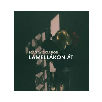 Márián Gábor - Lamellákon át