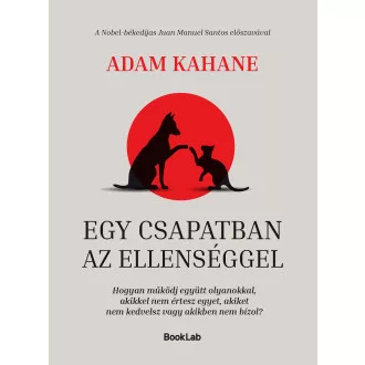 Adam Kahane - Egy csapatban az ellenséggel