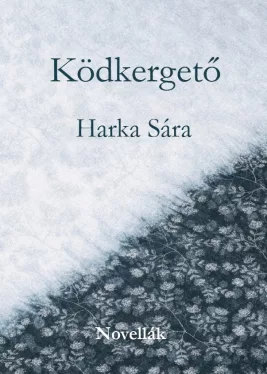 Harka Sára - Ködkergető