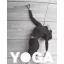 Yoga Budapest - Tél