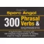 5 perc angol tanulókártyák - 300 Phrasal Verbs & expressions