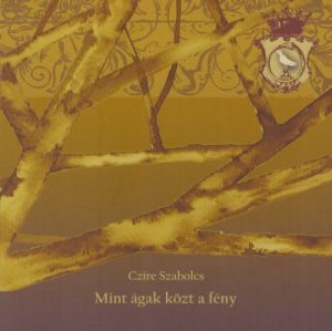 Mint ágak között a fény