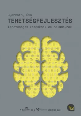 Tehetségfejlesztés - Lehetőségek kezdőknek és haladóknak