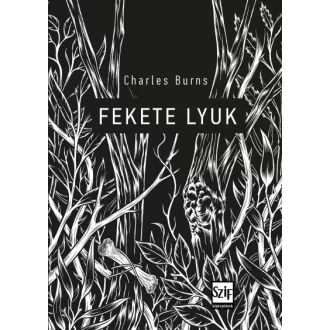 Fekete lyuk - Képregény