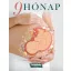9 hónap