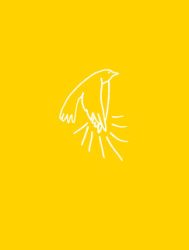 A madarak tapsolnak, amikor felszállnak