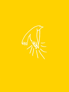 A madarak tapsolnak, amikor felszállnak