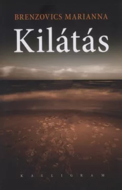 Kilátás