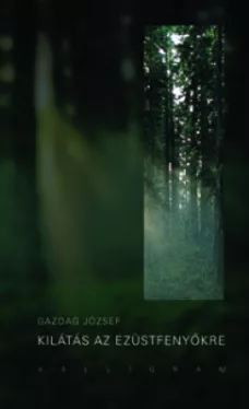 Kilátás az ezüstfenyőkre