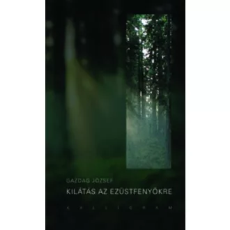 Kilátás az ezüstfenyőkre