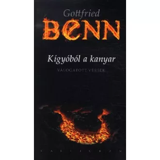 Kígyóból a kanyar - Válogatott versek