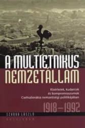 A multietnikus nemzetállam