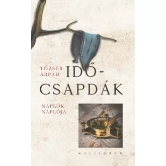 Időcsapdák - Naplók naplója