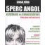 5 perc angol kezdőknek és újrakezdőknek