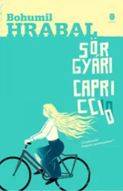 Sörgyári capriccio