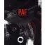 PAF - Pintér András Ferenc - festőművész