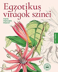   Egzotikus virágok színei - Inspirál, megnyugtat, kikapcsol