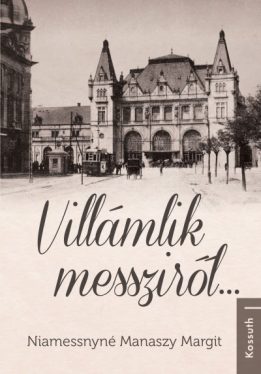 Villámlik messziről...