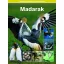 Madarak - Természettudományi enciklopédia 5.