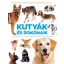 Kutyák és rokonaik - A házikutya, A rókák nemzetsége, Vadkutyák és farkasok